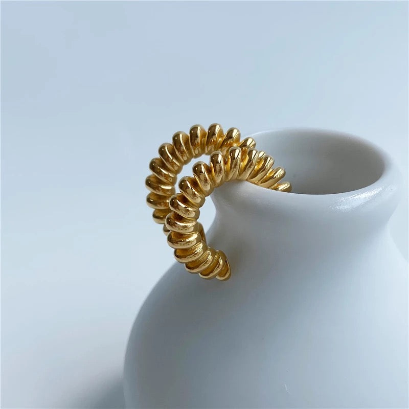 Gina Hoops
